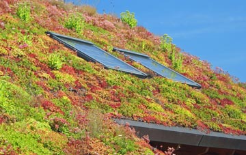 Teigngrace living roof systems