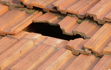 roof repair Teigngrace, Devon