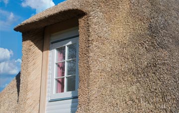 Teigngrace thatch roof disadvantages